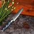 4Stk Japanisches Kochmesser Set - Damast Asiatisches Messerset